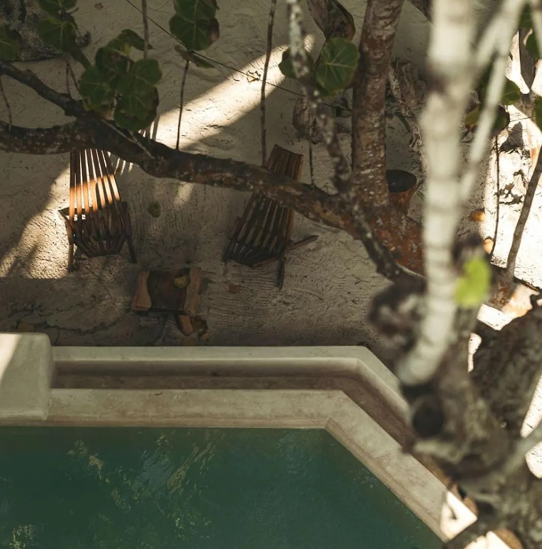 Hotel Sacred Hideaways Tulum