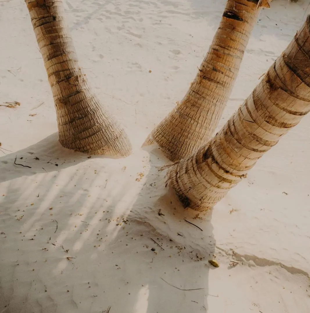 Hotel Sacred Hideaways Tulum