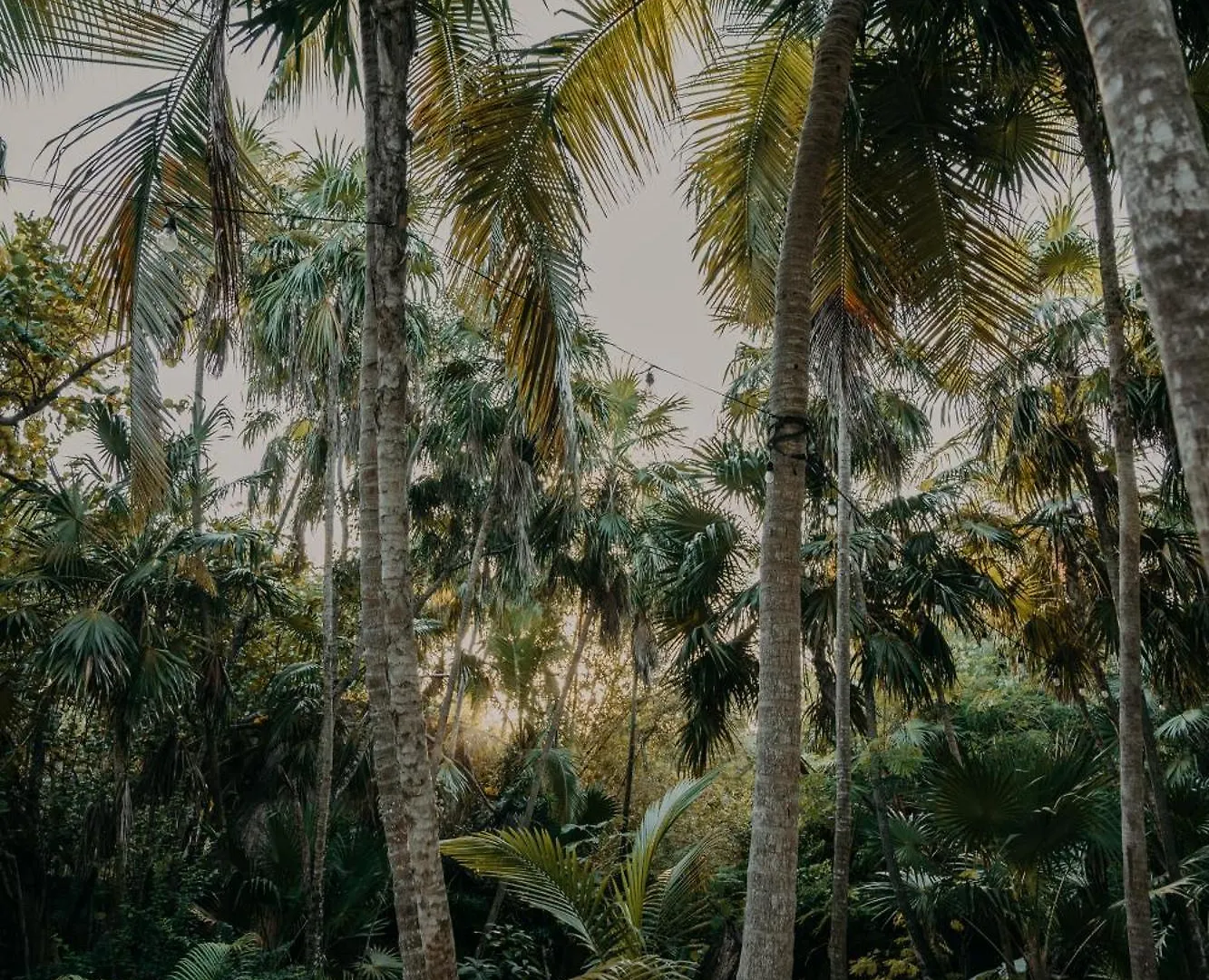 Hotel Sacred Hideaways Tulum Mexiko